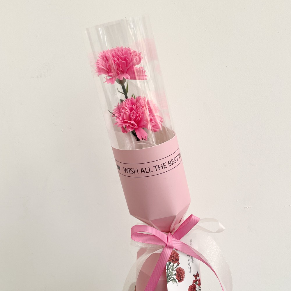 어버이날 스승의날 가정의달 부모님 선물 카네이션 고급 비누 카네이션, 핑크 카네이션 (두송이),, 1개 12,900원