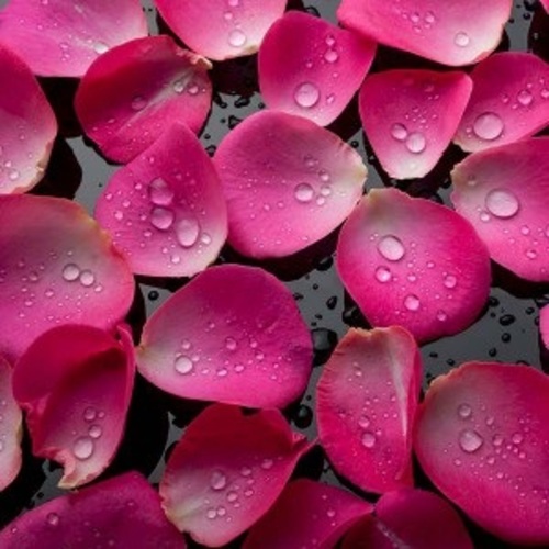 프래그런스오일 L.R.D 타입, 1000ml(1L), 1개 180,000원