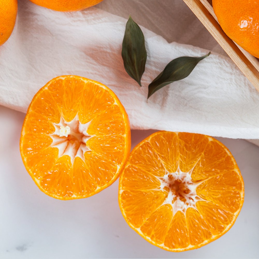 [오리진 셀렉트] 제주 레드향 5kg 소과/중과/대과 택1 고당도 산지직송(가정용) 29,000원