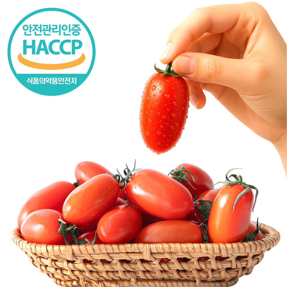 [프리미엄] 신품종 스테비아 고당도 자일리톨 대추방울토마토 고급건강간식 HACCP인증 32,900원