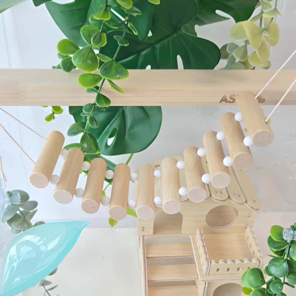 아스티렙 파스텔 게코 도마뱀 사다리 백업 출렁다리 파충류 놀이터 9,500원