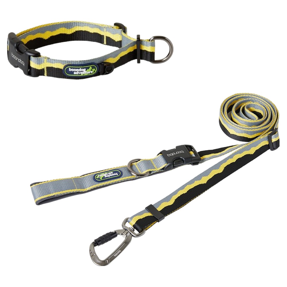 분독 강아지 어드벤처 하이브리드 리쉬 + 목줄 세트 79,800원