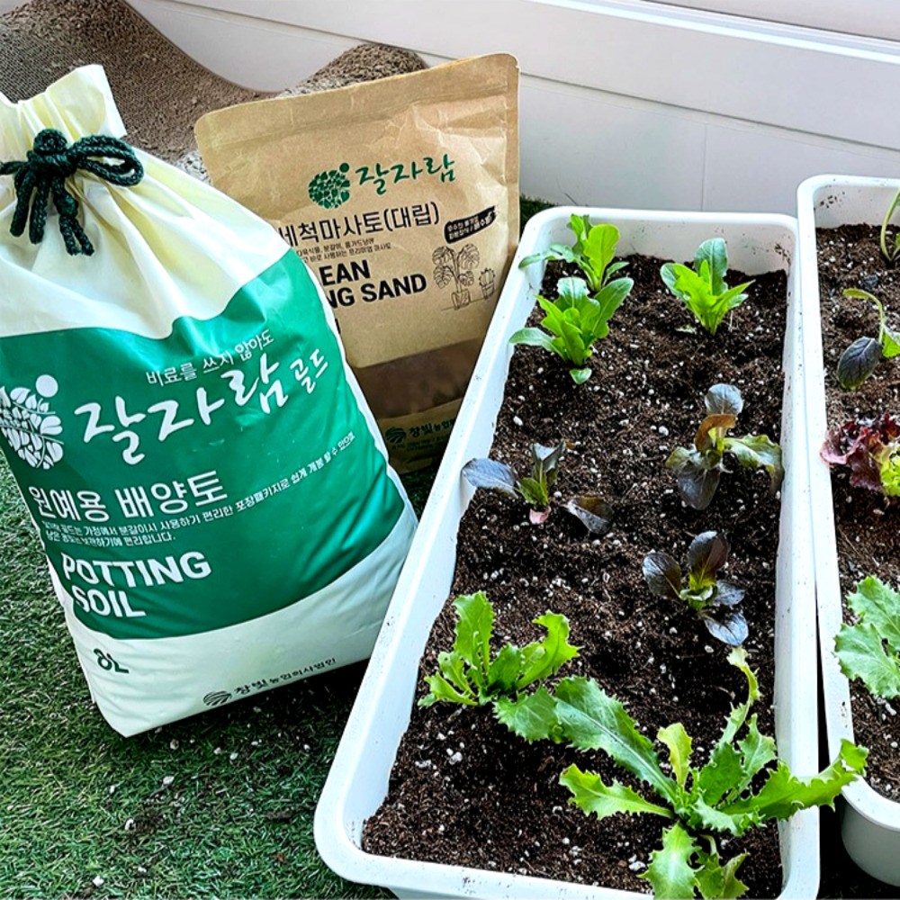 잘자람 상추 대파 키우기 베란다 텃밭 풀세트 흙+마사토+모종/씨앗  대형 화분 저면관수 화분 창빛농원 38,000원