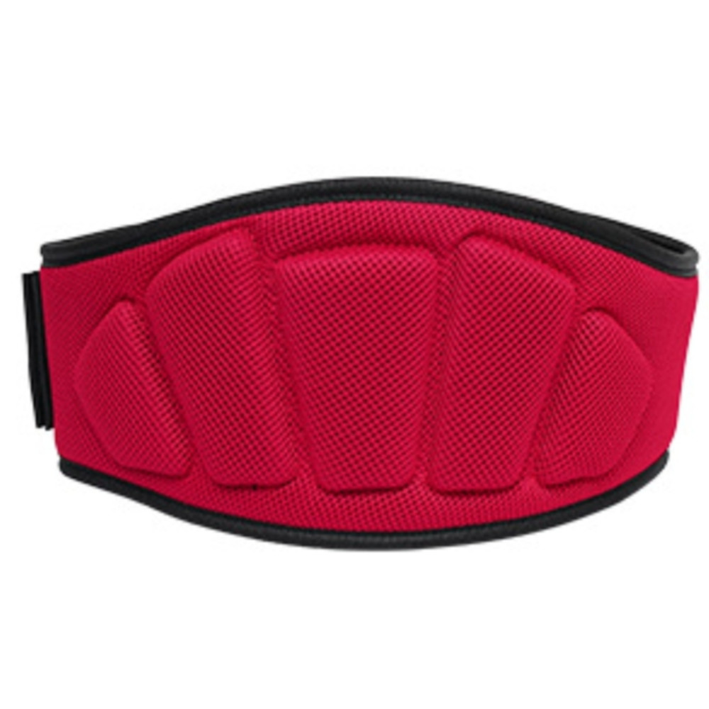 앞날창창 헬스 리프팅 스쿼트 서포트 벨트 10,980원