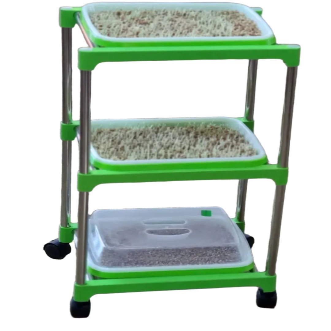 새싹보리 씨앗가정 재배 엿질금 용도 겉보리 3kg, 1개 34,500원