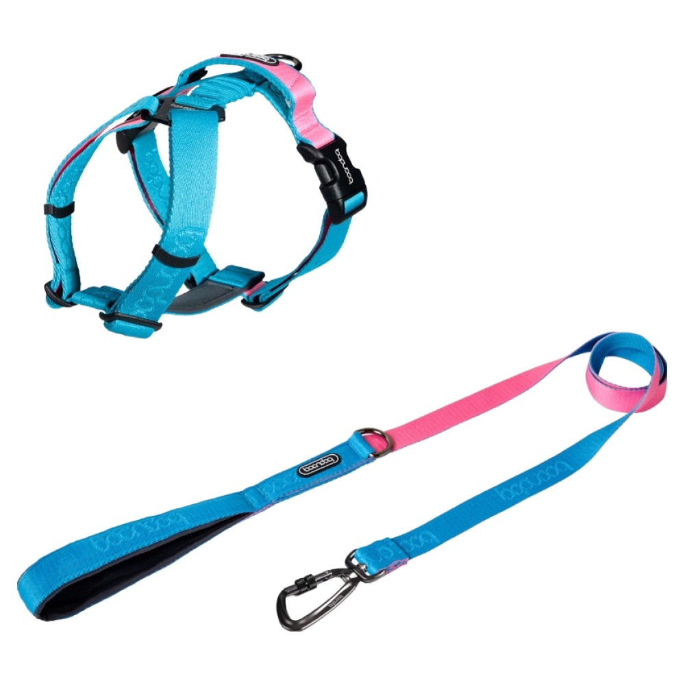 분독 플레이리쉬 롱리드줄 250cm + 플레이 하네스 세트, 아쿠아핑크, 1세트 100,700원