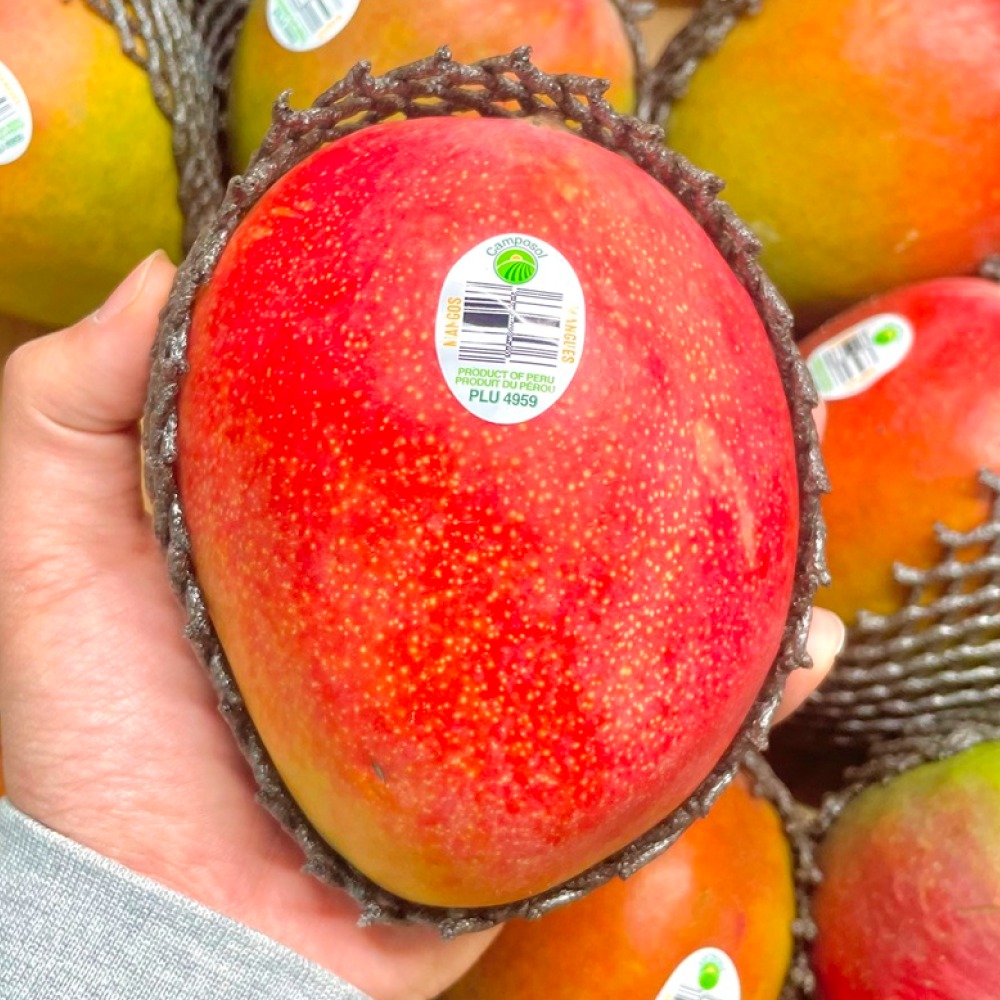 [선착순20box특가] 초고당도 한정수량 프리미엄항공직송 애플망고, 1박스, 4kg 39,000원