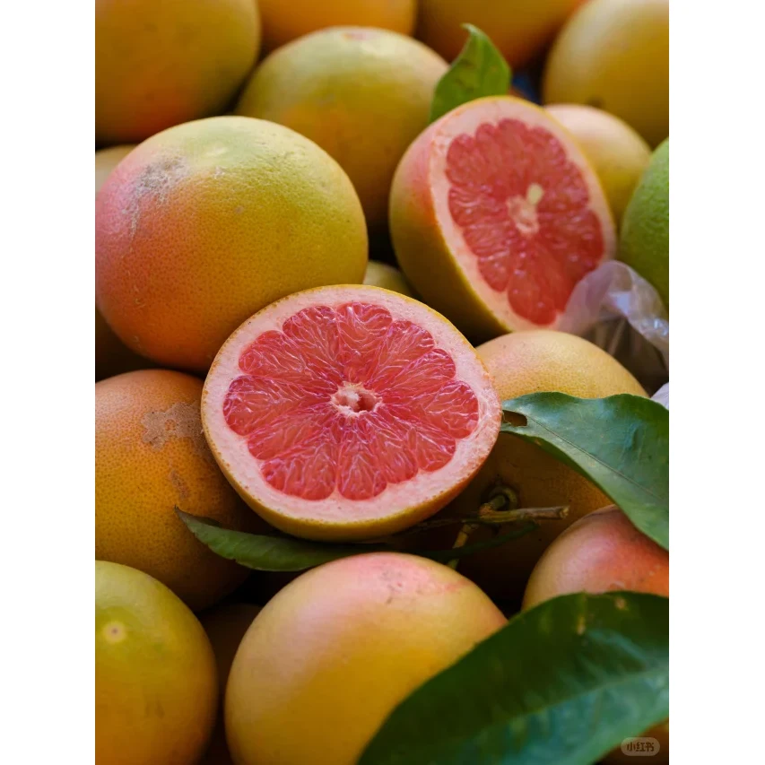 [프리미엄등급] 과즙 가득한 상큼달콤 레드 자몽 냉장 보관에도 맛이 좋은 레드 자몽 쌉싸름함과 단맛의 균형 좋은 레드 자몽 88,900원