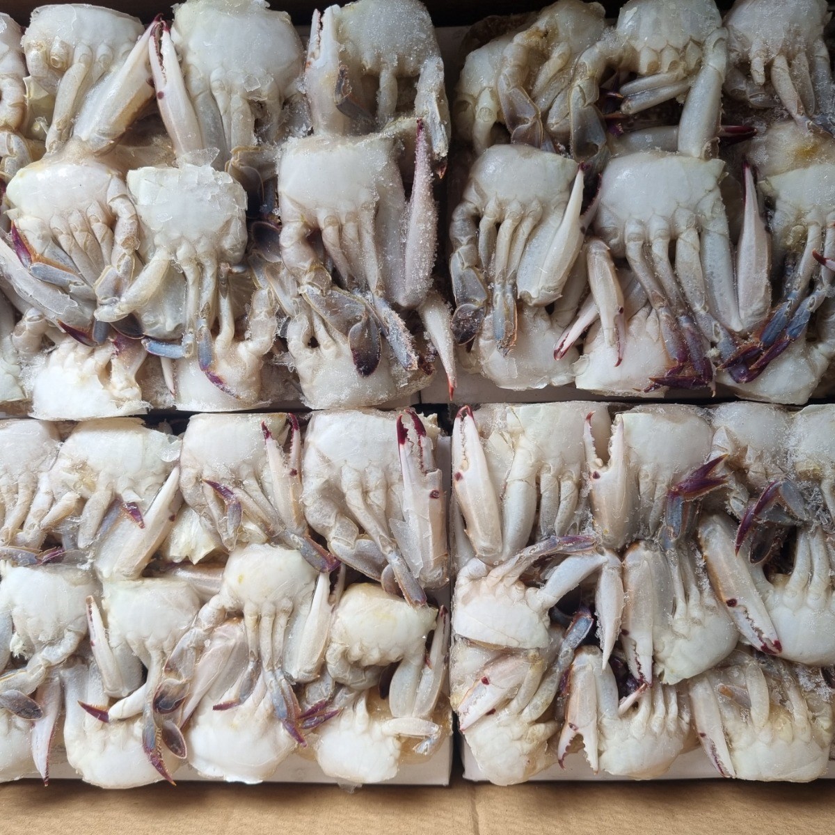 냉동 절단꽃게S (주산)1박스5.4K(450GX12팩) 29,450원