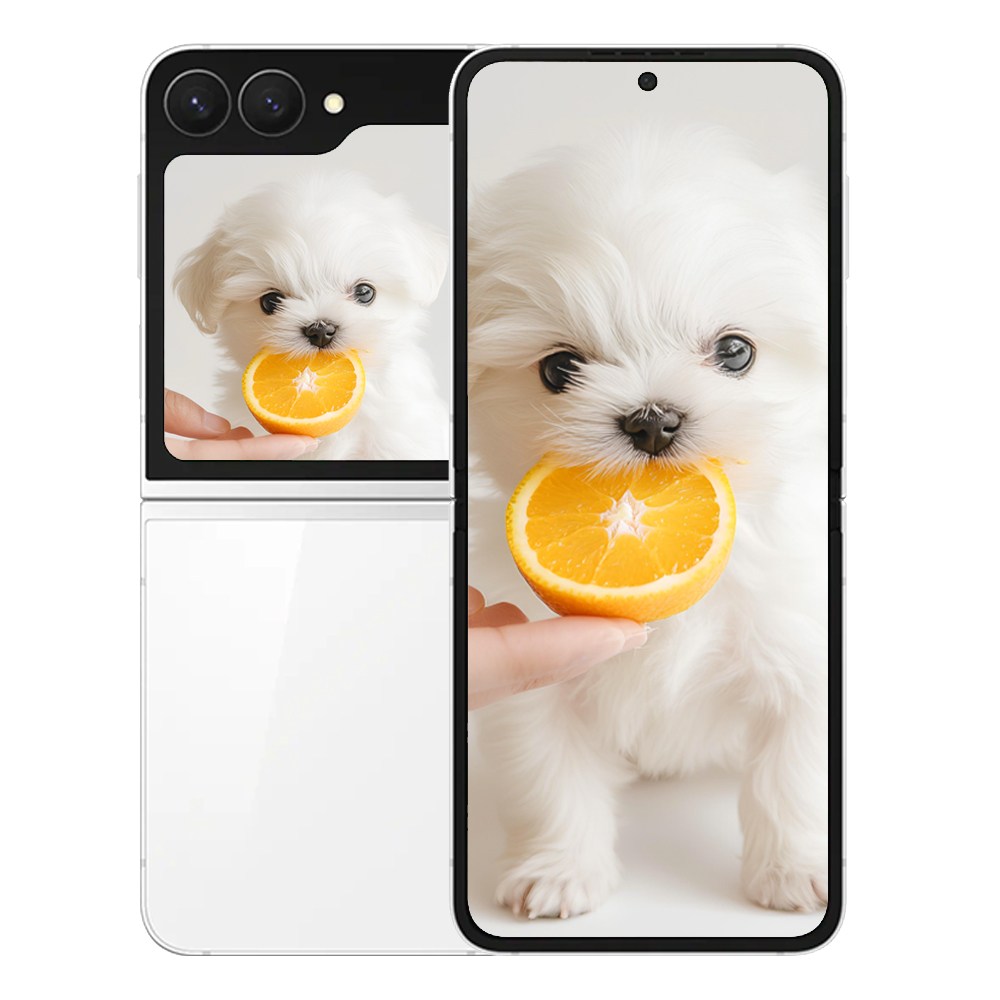 삼성전자 갤럭시 Z 플립7 FE 219,000원