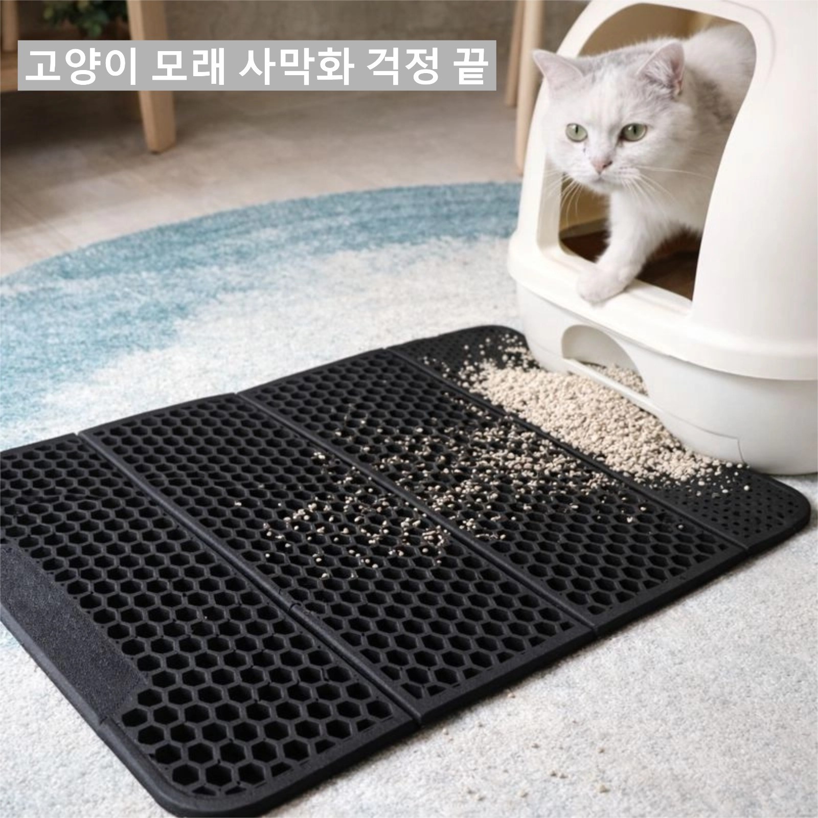 고양이모래매트 사막화방지 벌집구조 모래매트, 1개, 검정색 19,900원