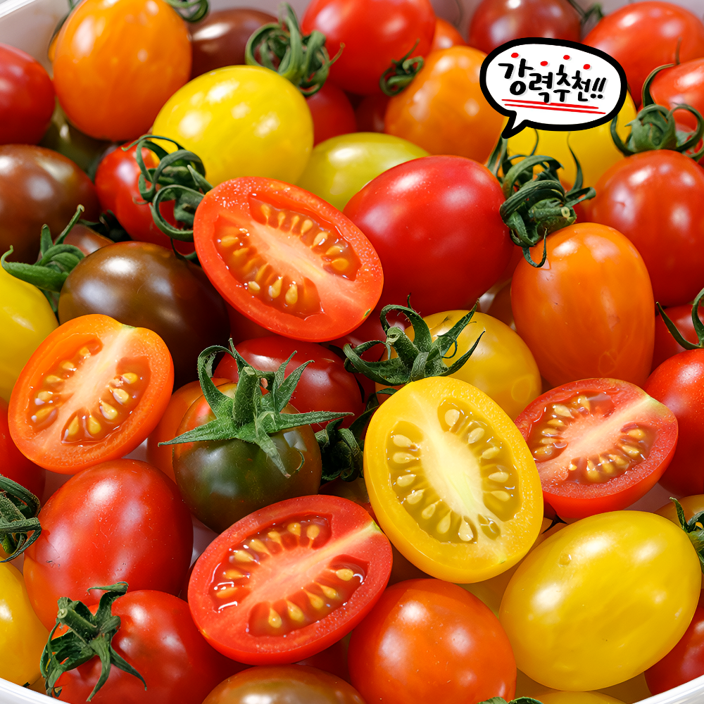 푸른마을 국내산 컬러 대추방울토마토 GAP인증 로얄과 고당도 방울토마토, 1박스, 컬러 대추방울토마토 1kg 17,900원