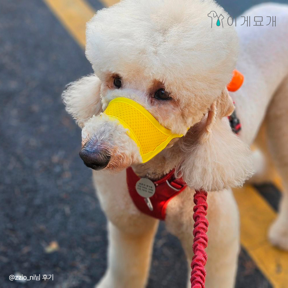 이게묘개 강아지 입마개 짖음 방지기 강이지훈련 입마개 물림방지, 옐로우 S [EE174], 1개 9,900원