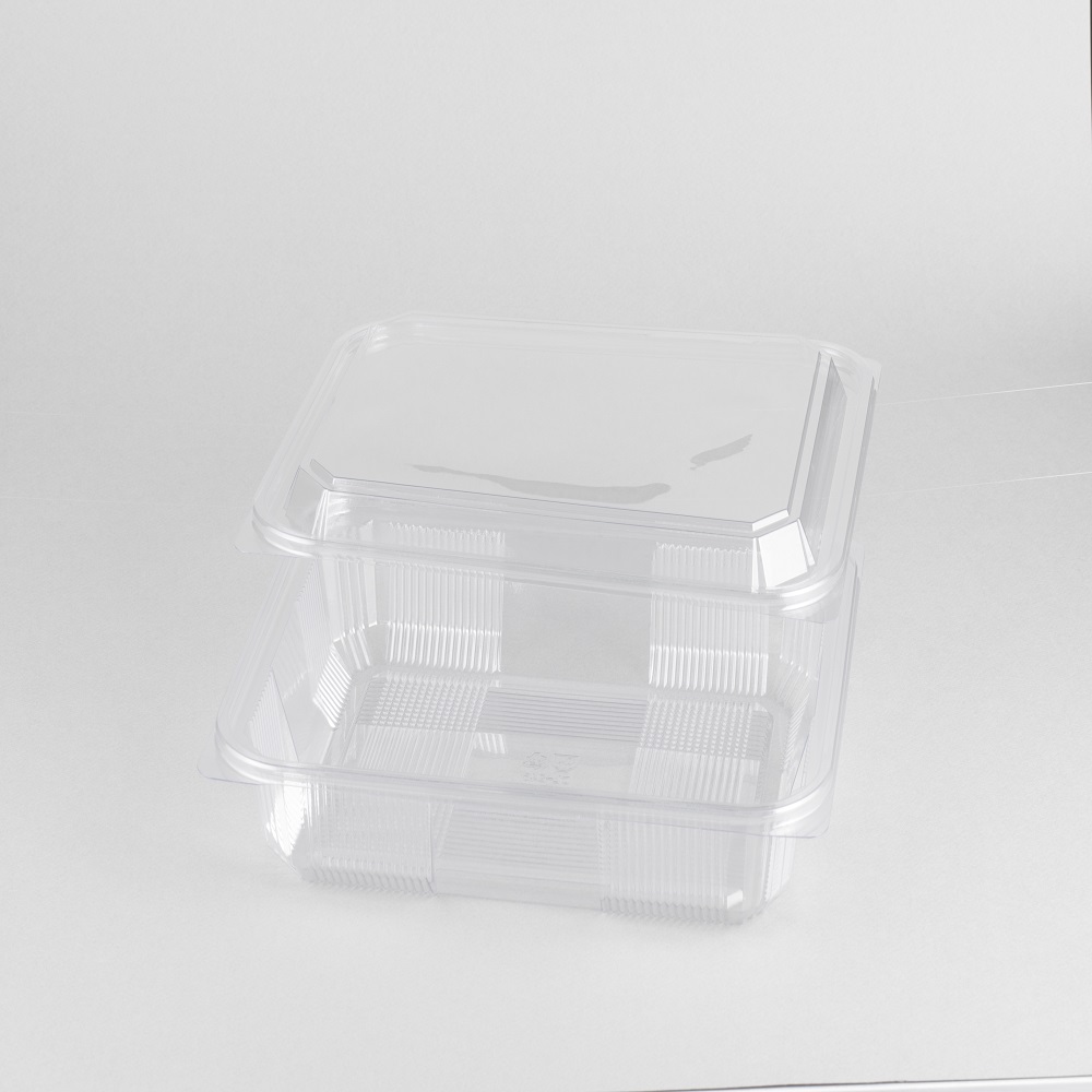 바른팩 DL-246 대일 일회용기 181,000원