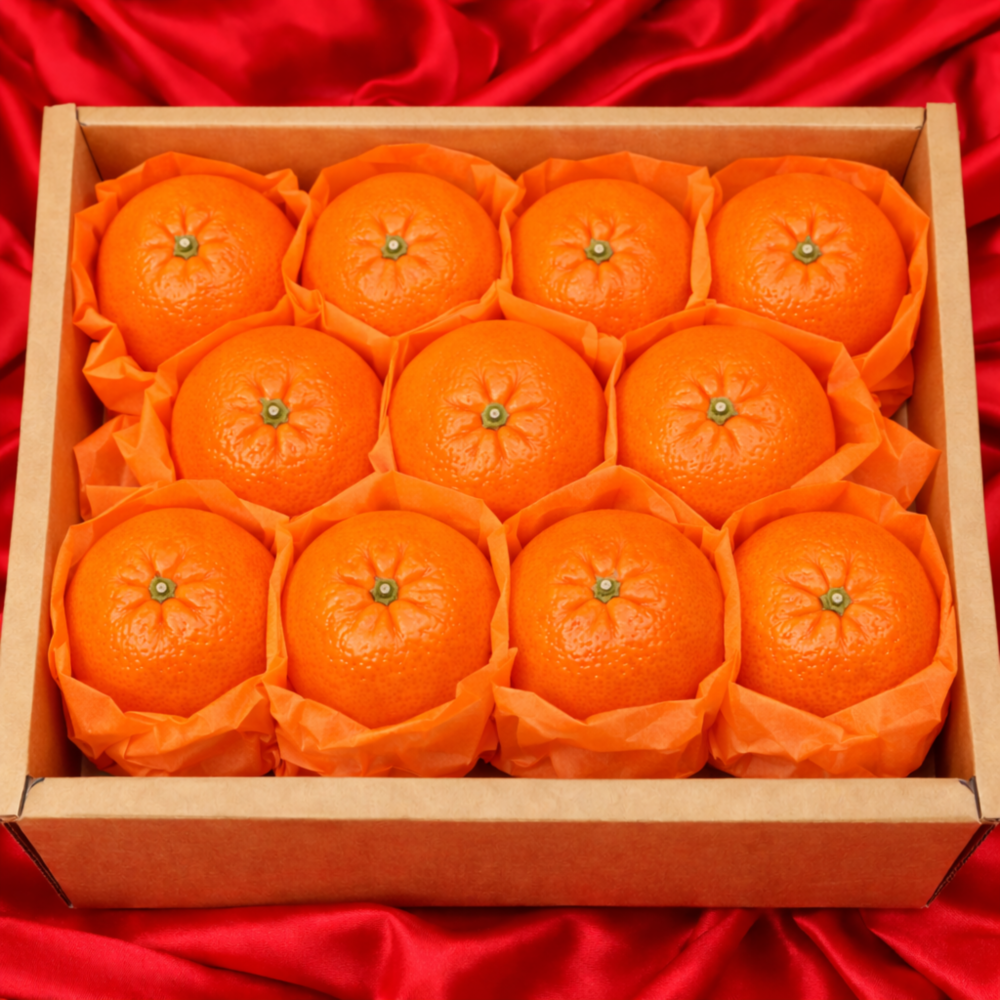 [그린팜] 제주 명품 레드향 15Brix 명절선물세트 41,000원