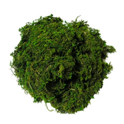 청이끼(약 400 ~ 500 g) 6,050원