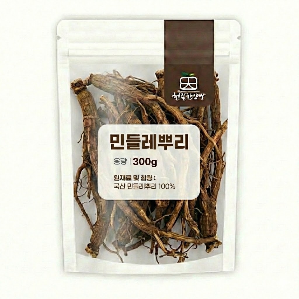 천일한약방 국내산 민들레뿌리 포공영 뿌리 흰민들레뿌리, 300g, 1개 16,500원