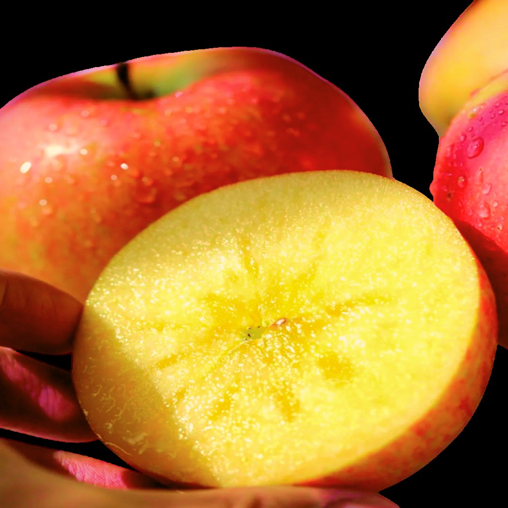 [최저가확신]초고당도 초특가 못난이 부사 사과, 1박스, 5kg 20,900원