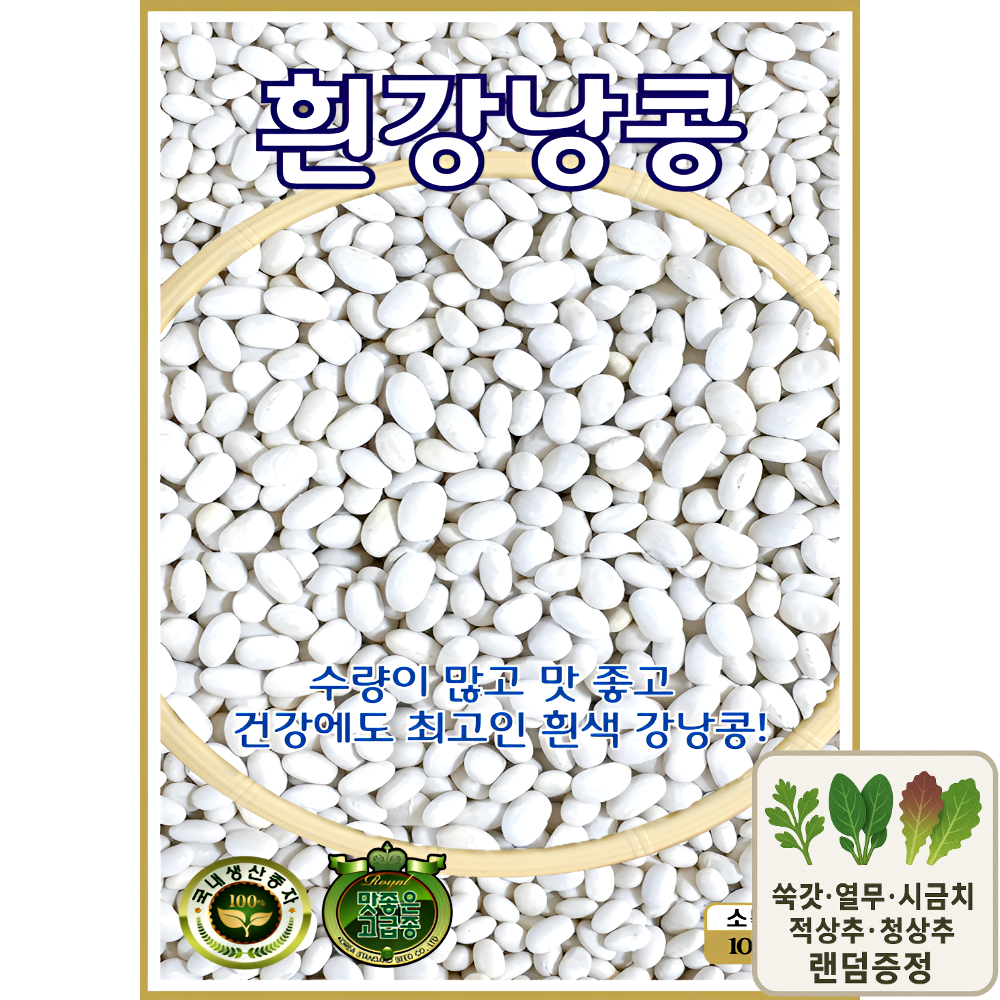 KS종묘 흰강낭콩 씨앗 100립 재래종 백강낭콩 종자 ks, 1개 4,000원