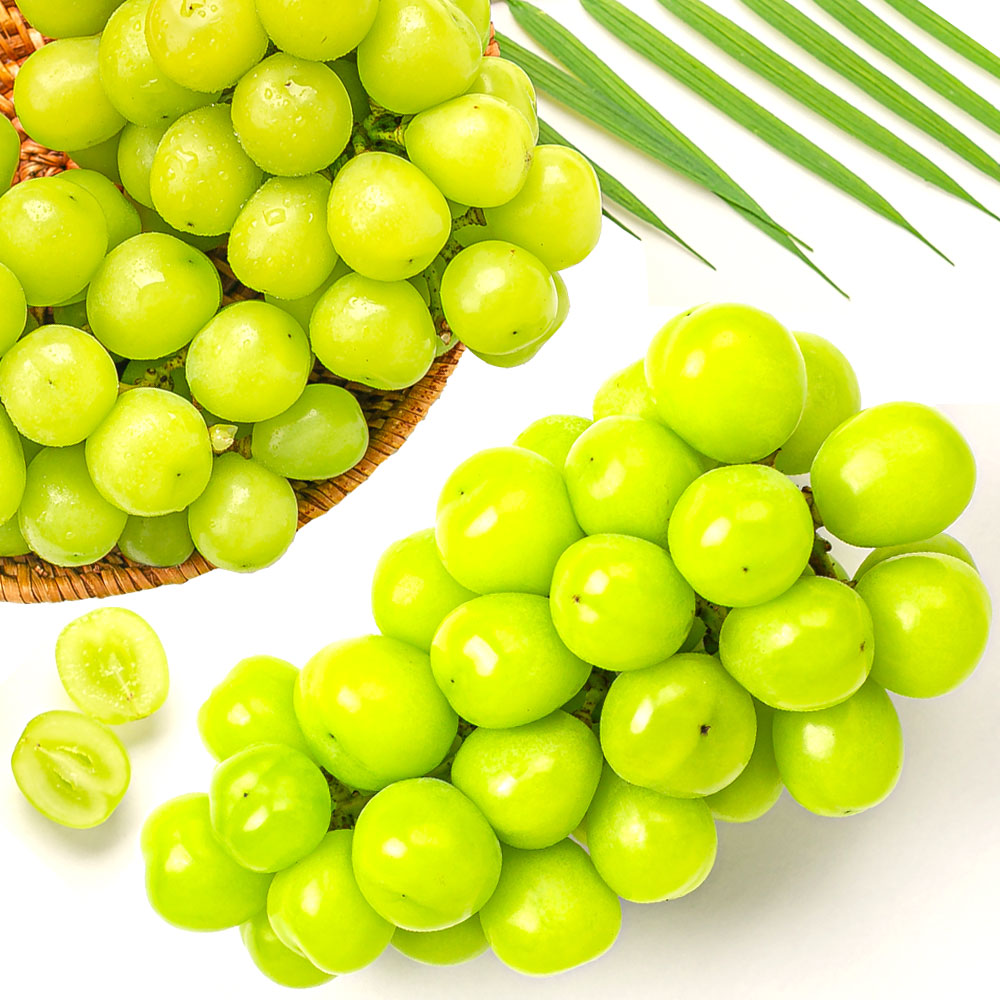 샤인머스켓 고당도 씨없는 망고포도 45,900원