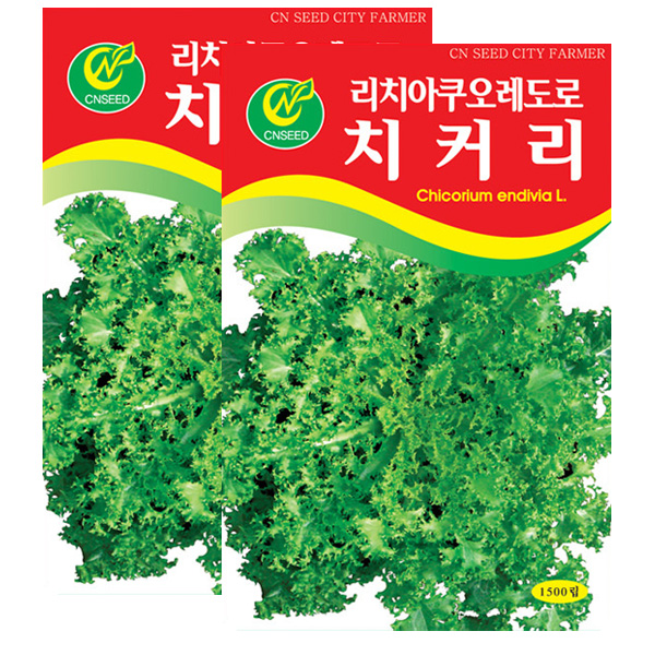 세인화분 치커리 1500립 4,850원