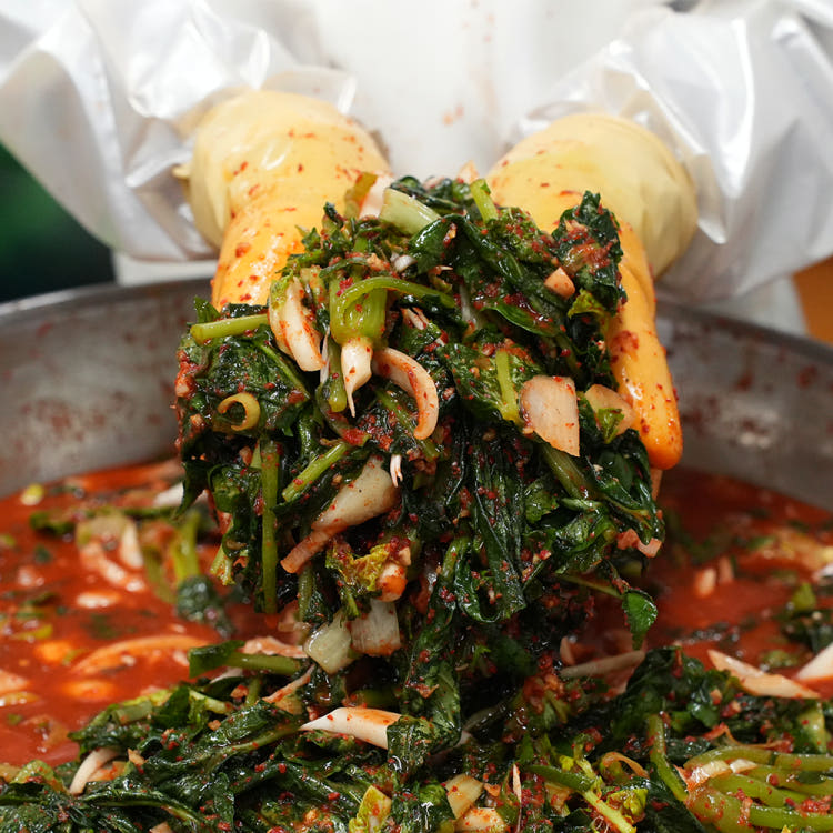 국내생산 당일제조 국내산 열무 시원하고 아삭한 주안이네 열무김치, 10kg, 1개 67,200원