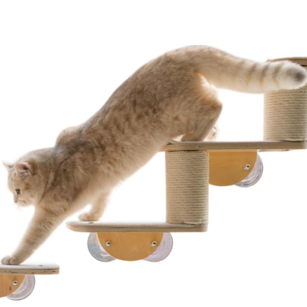 디바피스 고양이 창문 원목 캣타워 캣워커 캣선반 스텝 해먹, 3단계단, 1개 45,500원