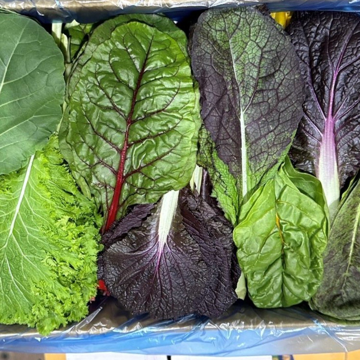 청해농산 모듬쌈채소 2kg 모둠쌈 13,000원