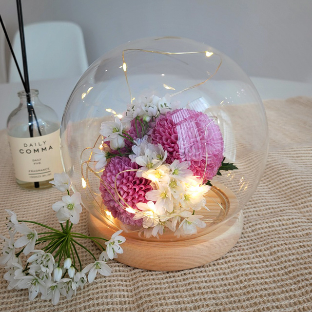 내일의공간 유리돔 무드등 원형 소형 7,800원