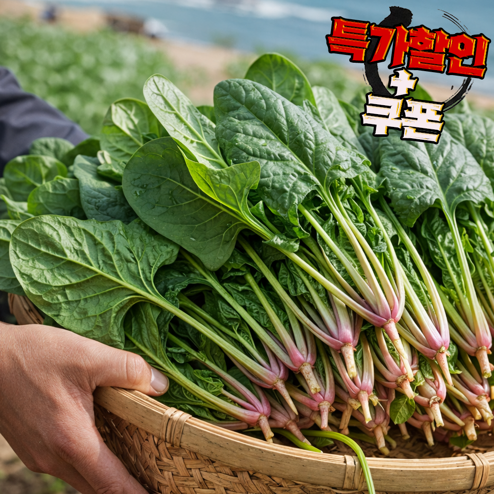 [타임특가]국내산 남해 시금치 보물초 시금치, 500g, 1kg, 2kg, 1박스 15,900원