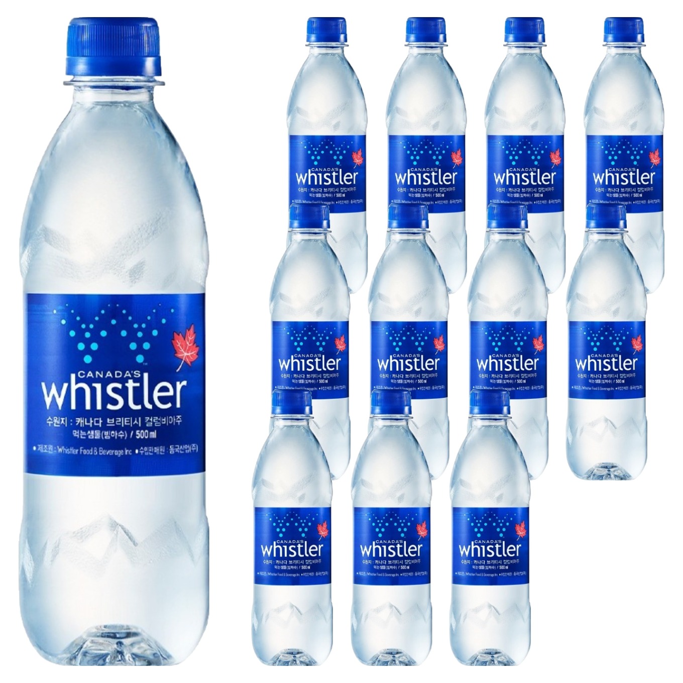 휘슬러워터 캐나다 프리미엄 빙하수 휘슬러 생수, 500ml, 12개 14,800원