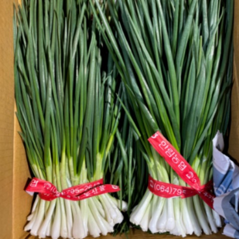 [로아프레시] 당일경매 당일발송 신선한 국내산 깐쪽파 1단(1KG내외), 1개, 1kg 6,500원