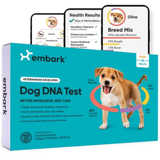 Embark 강아지 반려견 DNA 테스트 품종 견종 유전 특성 COI 발견 검사 311,490원