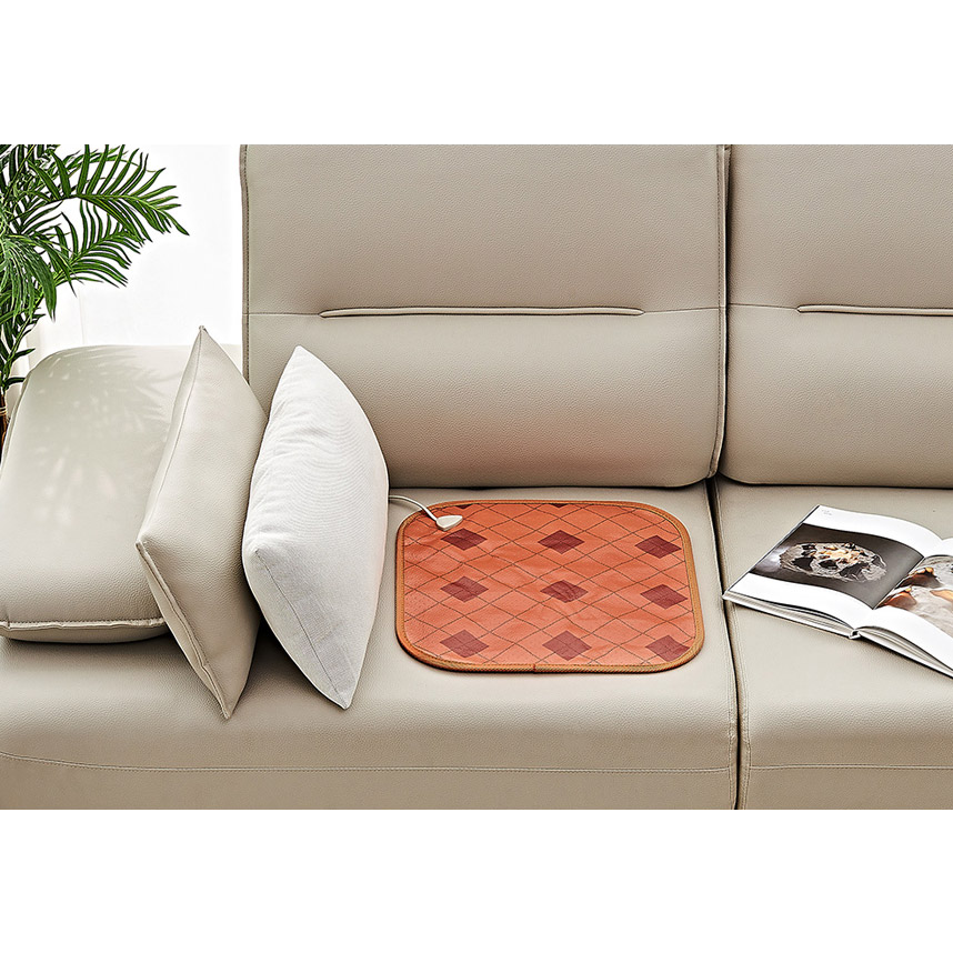 타란튤라 도마뱀 파충류 전기장판 / 겨울철온열매트 쿨존핫존 육지거북이 레게 필름히터 히팅 13,000원