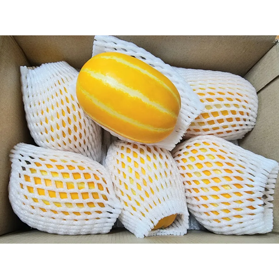 틸로팜 고당도 고품질 성주 참외 특품 프리미엄 가정용 로얄과 71,000원