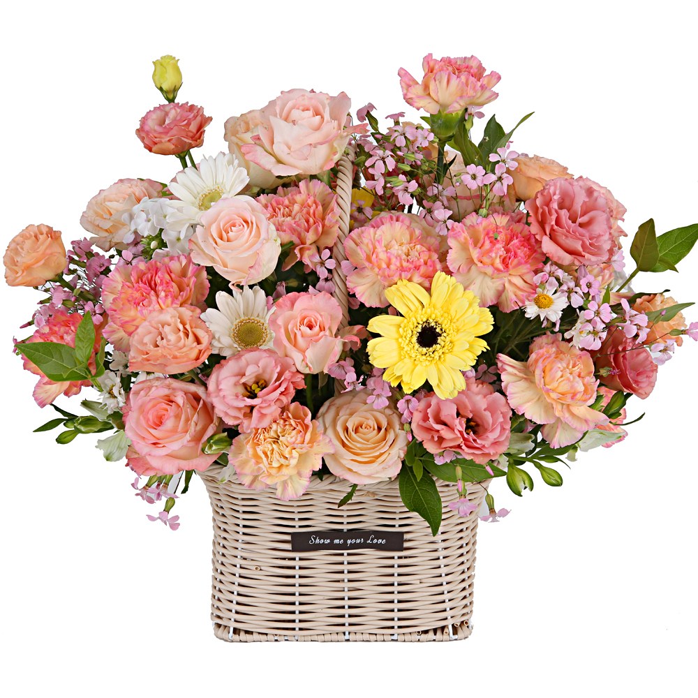 119플라워 (당일배송) 아름다운오늘꽃 ST-A1852 꽃바구니 전국꽃배달 생일 기념일 꽃선물 생화 꽃배달 70,800원