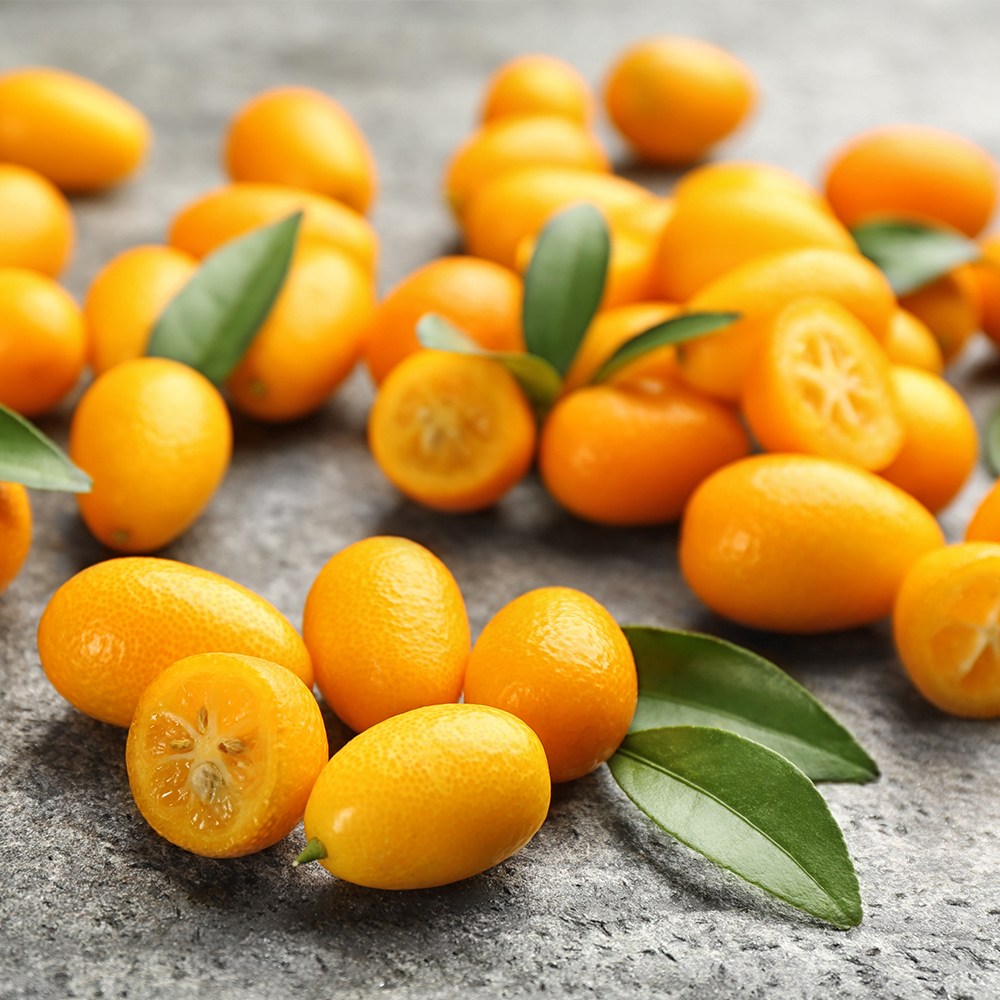 제주 금귤 낑깡 1kg~9kg 17,500원