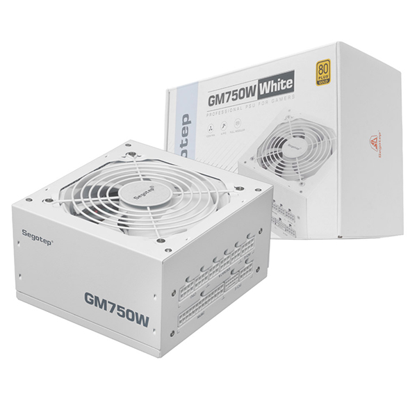 Segotep GM750W 80PLUS GOLD 풀모듈러 ATX 3.1 (PCIE5.1) 화이트, 단일상품 122,230원