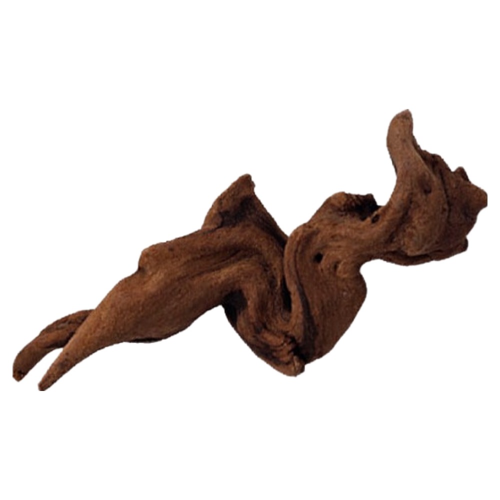 샘아쿠아 리프레쉬 레드 드리프트 유목 8,720원