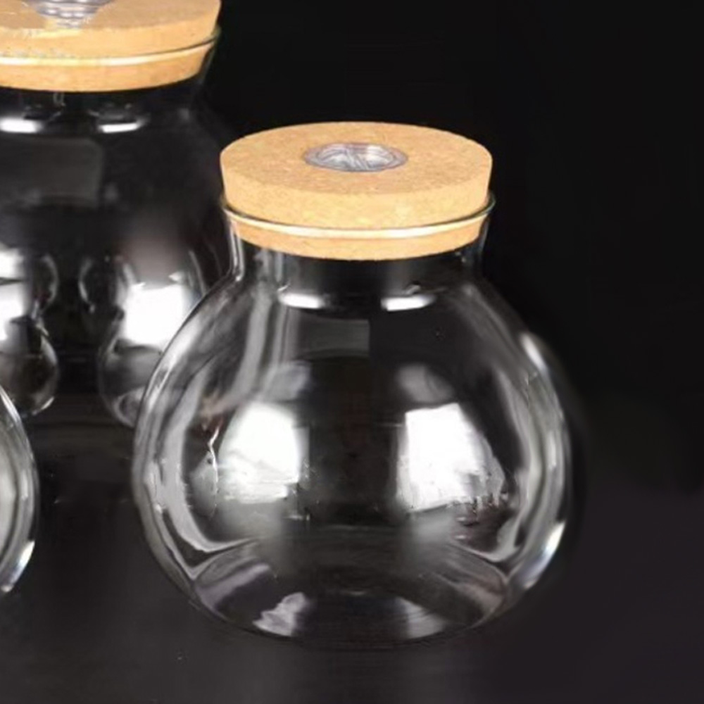 테라리움 유리 화분 led 볼단지 350ml 마리모 어항 용기 23,500원