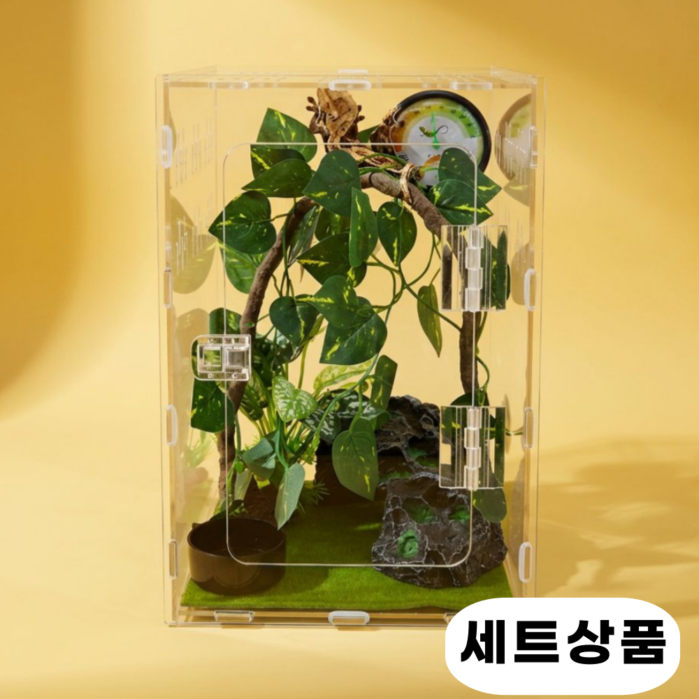 필핏 크레스티드 게코 사육장 도마뱀 파충류 은신처 세트 48,900원