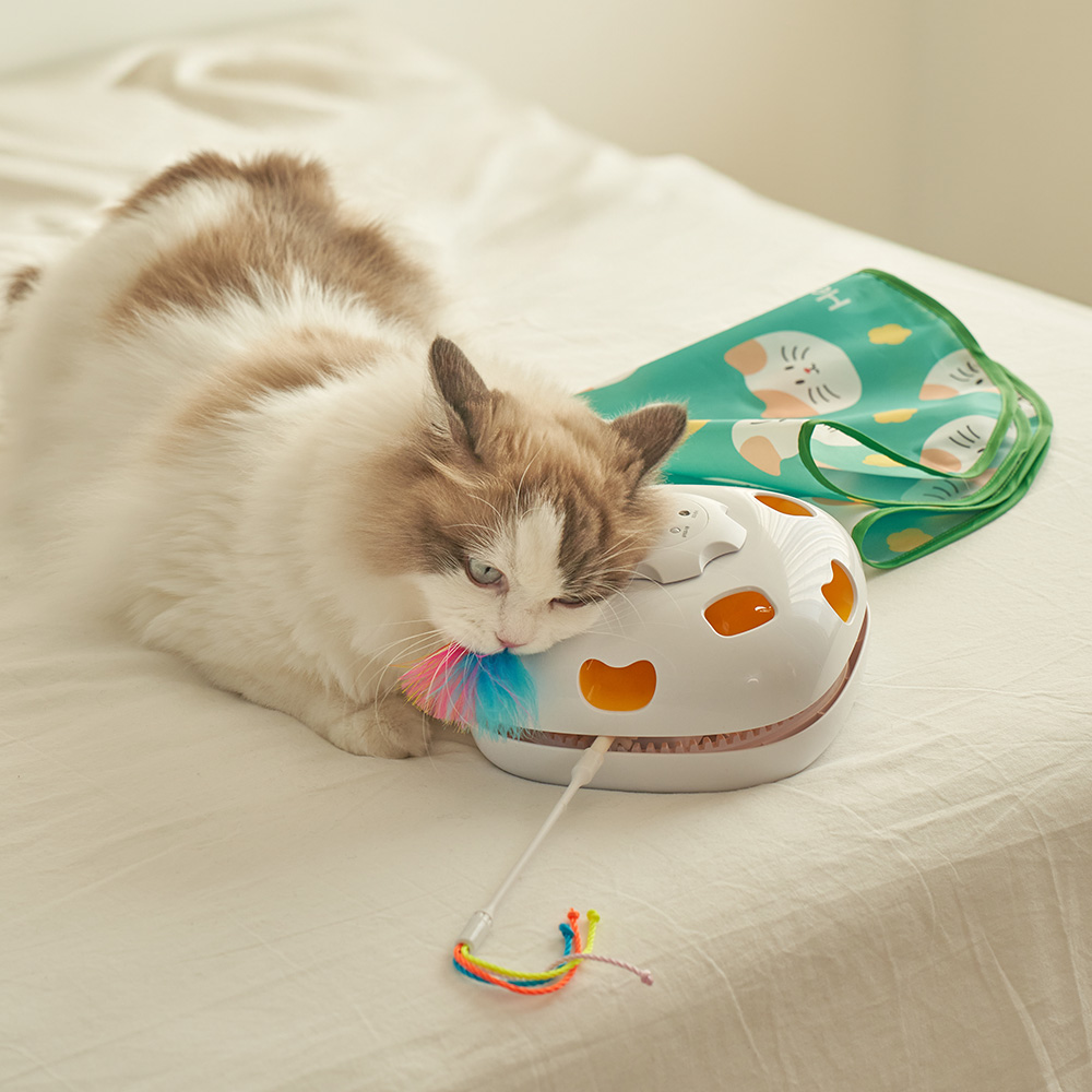 헤이홈 꼬리잡기 고양이 자동 장난감 30,600원