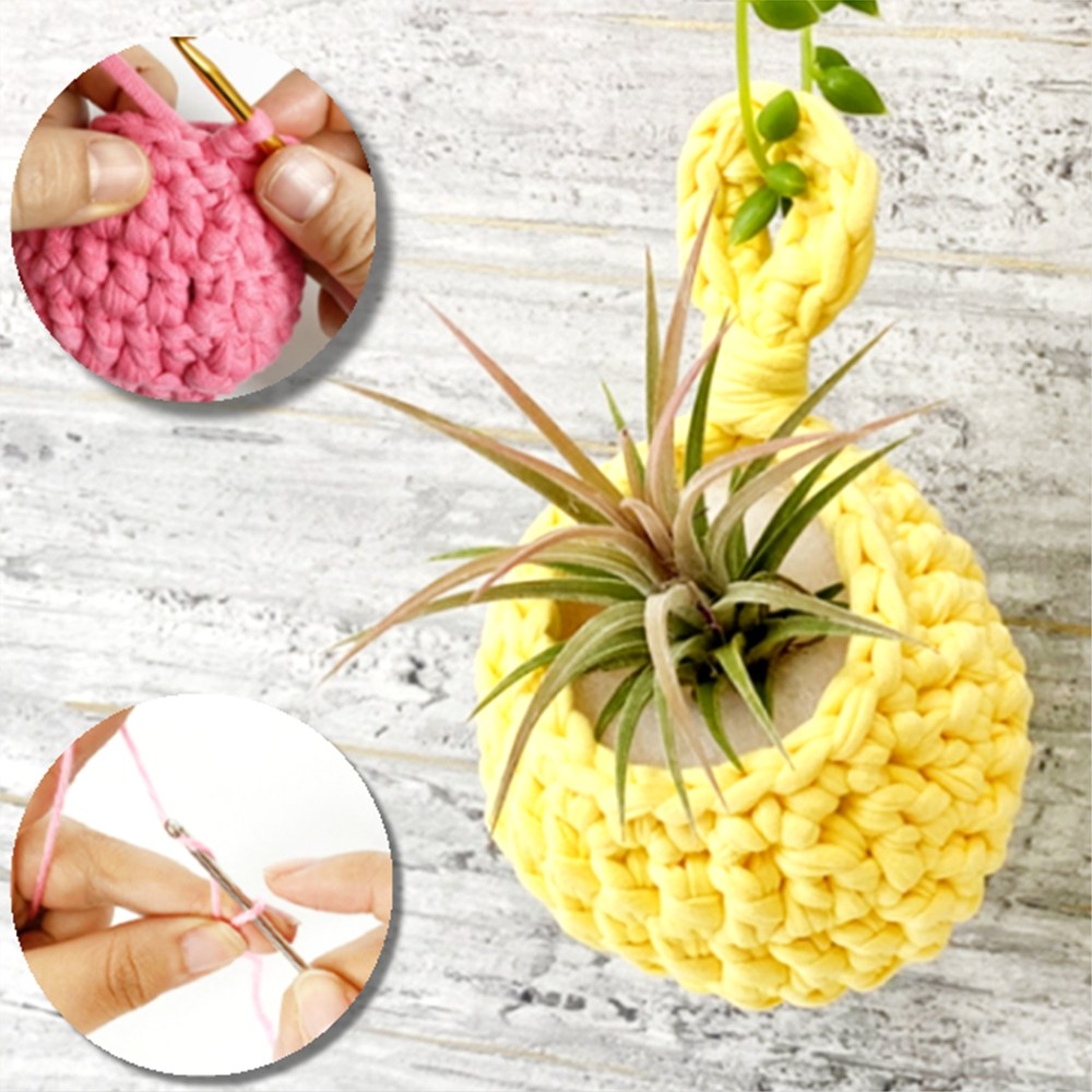 이오난사 테라리움 화분 만들기, 1개 65,000원