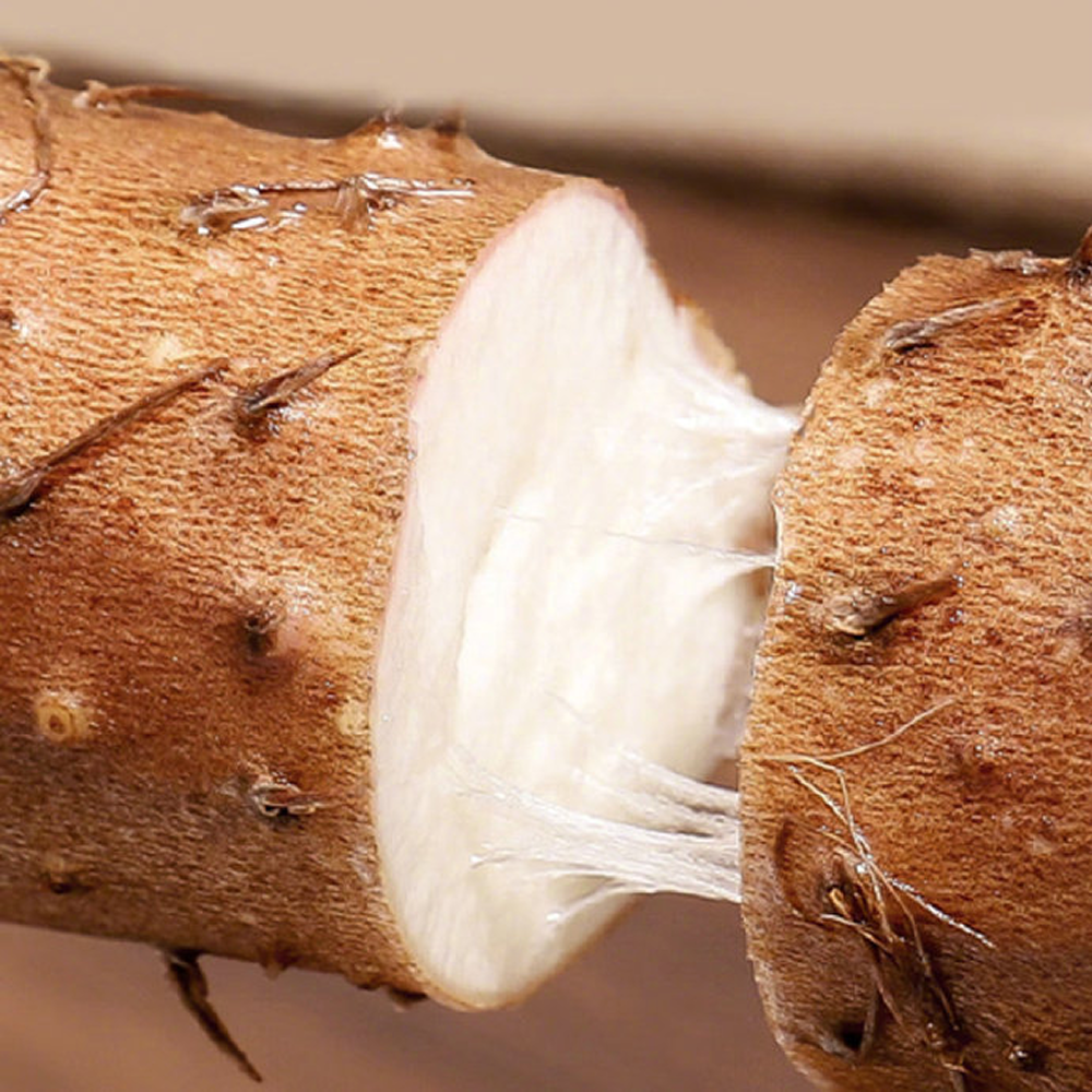 속이편한 안동마 뮤신듬뿍 참 마 29,900원