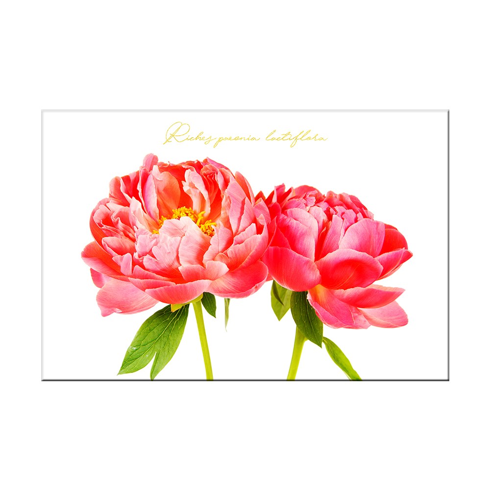 부귀의 꽃 모란꽃 목단꽃 부자되는 한국화 그림 액자 152,780원