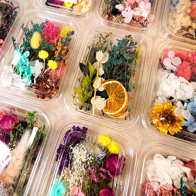 믹스 플라워 프리저브드 말린꽃 모음 3,300원