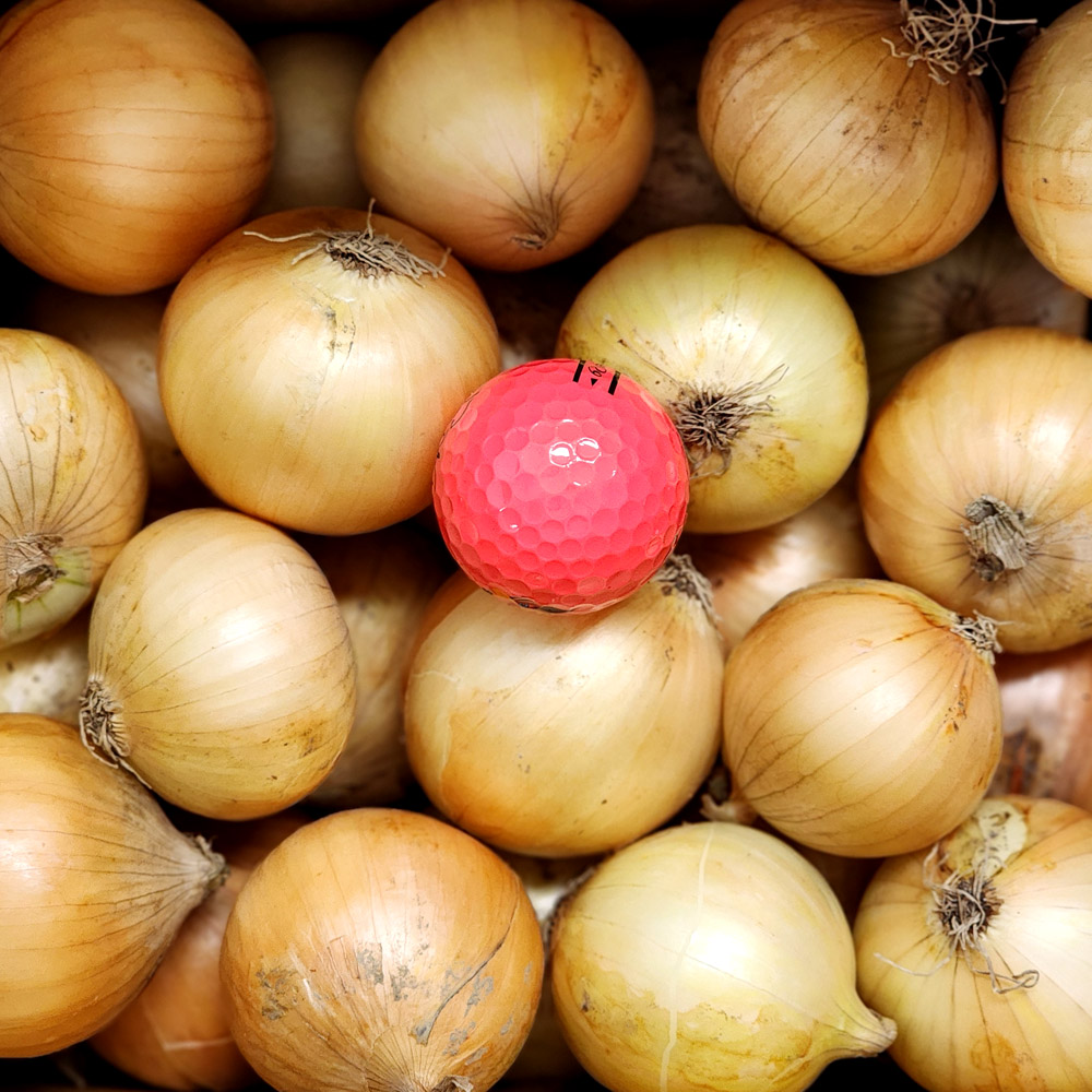 [울팜] 국내산 장아찌용 창녕 꼬마 양파, 1개, 양파(장아찌용) 10kg 13,800원