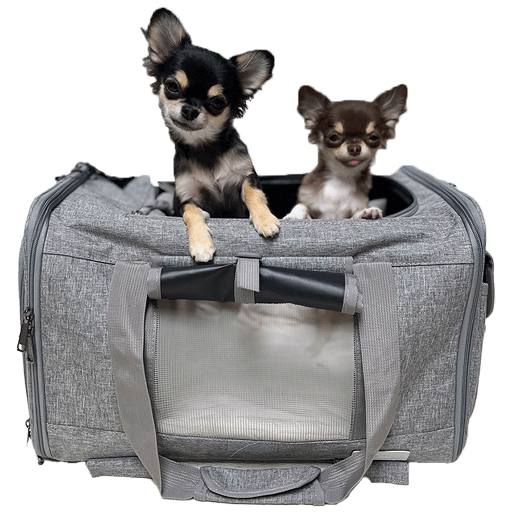 트래들 강아지 가방 이동가방 앞가방 고양이 이동장 백팩 캐리어 애견 산책, 1개 32,500원