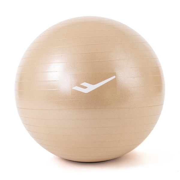 프로스펙스 프리미엄 안티버스트 짐볼 65cm 16,700원