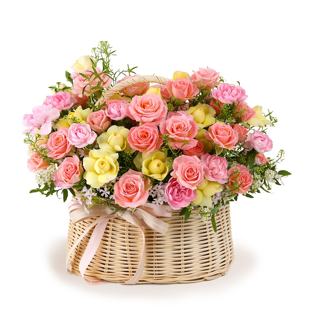 119플라워 (당일배송) 꿈꾸는사랑 ST-A1878 꽃바구니 장미 당일꽃배달 전국꽃배달 생일 기념일 꽃선물 생화 꽃배달, 1개, 혼합 68,900원